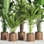 Indoor Oasis: 42-Piece Plant Set 3D model small image 2