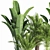 Indoor Oasis: 42-Piece Plant Set 3D model small image 3