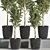 Olive Indoor Plant Set 3D model small image 2