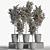 Olive Indoor Plant Set 3D model small image 5