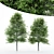 Dual Height Tree: Shingle Oak 3D model small image 1