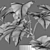 Tropical Archive: Philodendron Subincisum 3D model small image 7