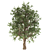 White Alder Tree: Western Native 3D model small image 2