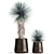 Exotic Metal Plant Collection: Yucca Rostrata, Reclaimed Artizan Iron Coppa Pot 3D model small image 3
