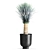 Exotic Metal Plant Collection: Yucca Rostrata, Reclaimed Artizan Iron Coppa Pot 3D model small image 6