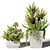 square succulent bouquets in pots 3D model small image 1