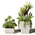 square succulent bouquets in pots 3D model small image 2