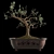 Bonsai Tree Design with Pot 3D model small image 1