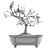 Bonsai Tree Design with Pot 3D model small image 3