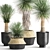 Tropical Plant Collection: Exotic Yucca in Vig Planter 3D model small image 1