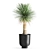 Tropical Plant Collection: Exotic Yucca in Vig Planter 3D model small image 5