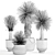 Tropical Plant Collection: Exotic Yucca in Vig Planter 3D model small image 6