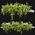 Cascade Greenery: Hanging Plant 21 3D model small image 5