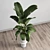 Concrete Vase Indoor Plant 3D model small image 4