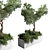 Indoor Plant Collection: 82 Garden Pot Tree Palm 3D model small image 2