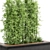 Bamboo & Bush Garden Set 3D model small image 6