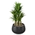 Lush Green Indoor Plants Set 3D model small image 3