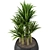 Lush Green Indoor Plants Set 3D model small image 5