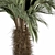 Tropical Delight: Palm Plant Set 3D model small image 3