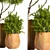 Modern Indoor Plant Stand 12: Stylish & Functional 3D model small image 2