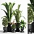 Sleek Indoor Plant Set 06 3D model small image 1