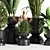 Sleek Indoor Plant Set 06 3D model small image 2