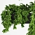 Elevate your garden with Hanging Plant Planter Box 3D model small image 5