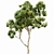 Sydney Blue Gum 2 Trees: High-Quality 3D Models 3D model small image 3