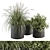 Lush Indoor Plant Set with 250 Varieties 3D model small image 2