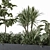 Green Oasis: Indoor Plant Set 3D model small image 5