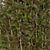 Tree 2: Versatile 3D Model 3D model small image 3