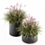 Grassy Delight: Outdoor Plant Set 3D model small image 1