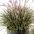 Grassy Delight: Outdoor Plant Set 3D model small image 3