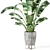 Rustic Indoor Plant Set - Concrete Pot 3D model small image 4