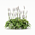Tiarella cordifolia Flowers | High-quality 3D Model 3D model small image 10