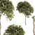 Evergreen Needle Broadleaf Set 3D model small image 3