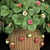 Indoor Strawberry Plant: Fresh, Tasty, and Convenient! 3D model small image 2