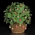 Indoor Strawberry Plant: Fresh, Tasty, and Convenient! 3D model small image 10