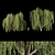 Willow Trees Collection: Vol12 3D model small image 1