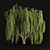 Willow Trees Collection: Vol12 3D model small image 3