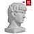 Title: Antinous Gypsum Head Replica 3D model small image 4