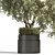 Breathe Life with Interior Bonsai 3D model small image 3