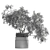 Breathe Life with Interior Bonsai 3D model small image 5