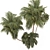 Lush Green Palm Tree Set 185 3D model small image 2