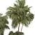 Lush Green Palm Tree Set 185 3D model small image 3