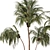 Lush Green Palm Tree Set 185 3D model small image 5