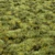Versatile Grass Collection for Stunning Landscapes 3D model small image 2