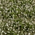 Lush Turf Blooms: Grass Set 05 3D model small image 2