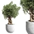 Modern Concrete Vase Outdoor Plant 3D model small image 1