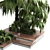 Outdoor Garden Pot Collection - Palm Tree, Bush, Fern, Grass in Concrete Vase 3D model small image 4
